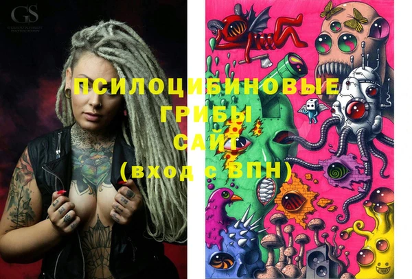 стафф Белокуриха